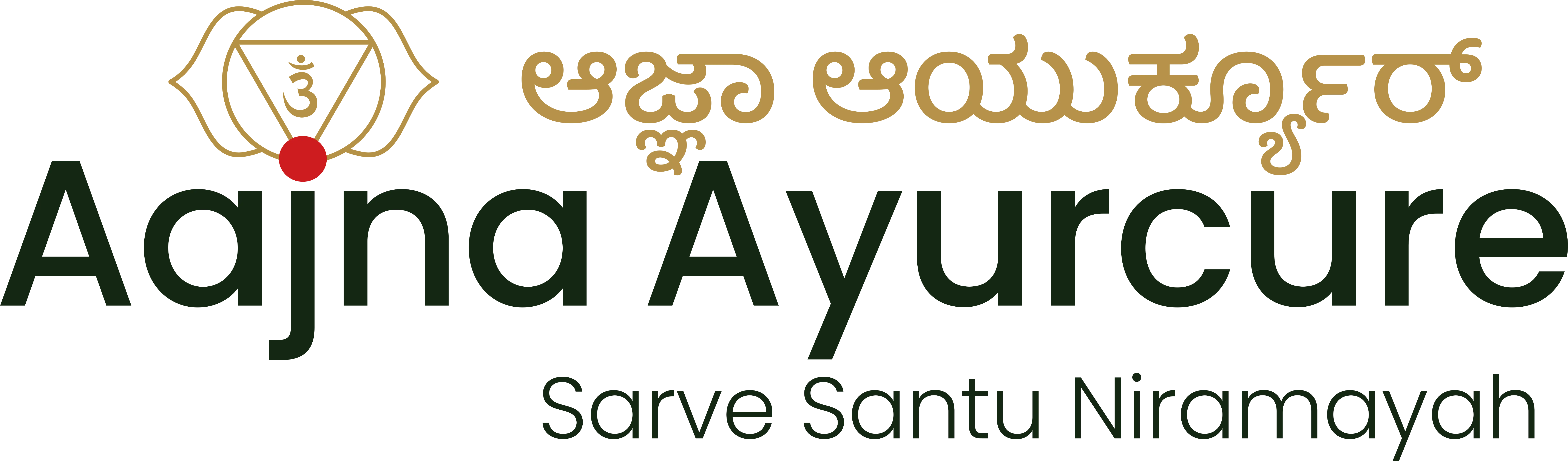 Aajna Ayurcure